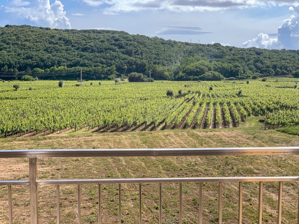 katunar winery