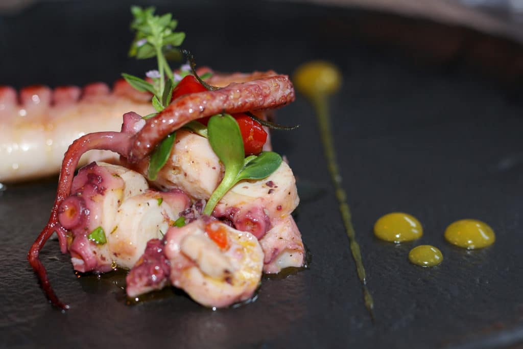 ganeum octopus