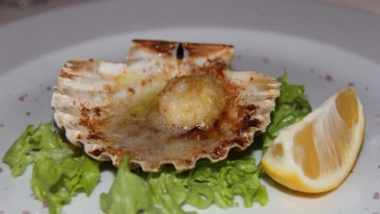 Istria Gourmet Food Photography Konoba Buscina Scallop Seashell