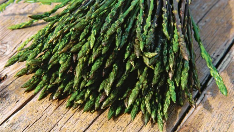 istria-foodie-events-april