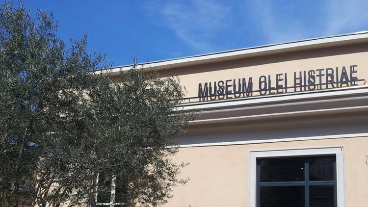 Museum-Olei-Histriae_2