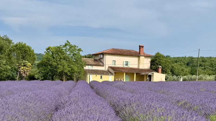 Istria Agrotourism