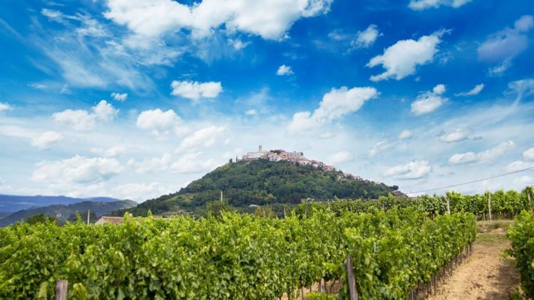 Istria Wine Day