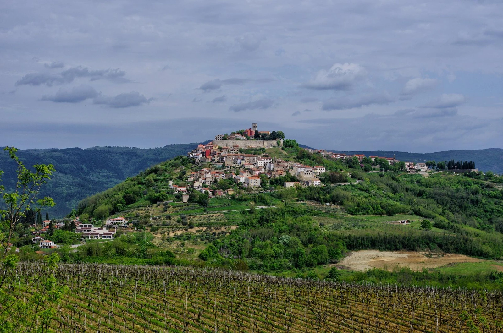 Motovun and Istrian hilltop countryside, from the Weekend itinerary